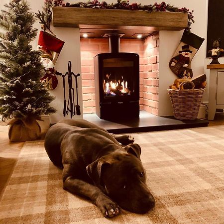 Woodland Cottage - Private Courtyard - Pet Friendly Retreat In The Heart Of Windermere Eksteriør billede