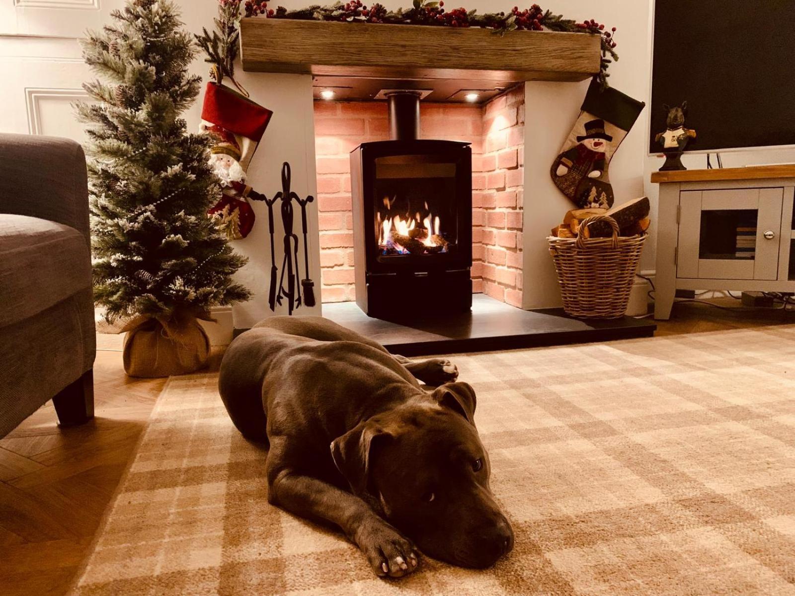 Woodland Cottage - Private Courtyard - Pet Friendly Retreat In The Heart Of Windermere Eksteriør billede